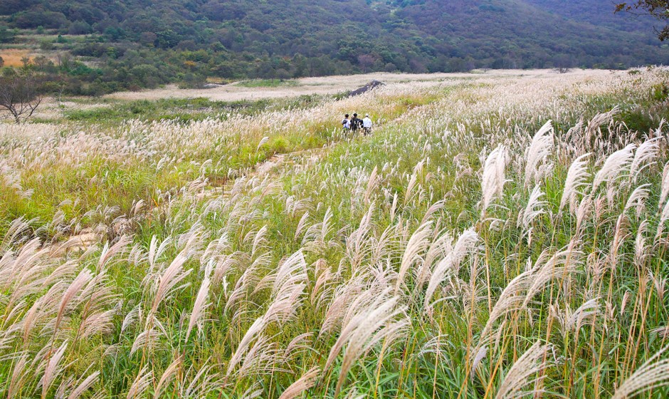 재약산 억새평원 / 사진=경상남도