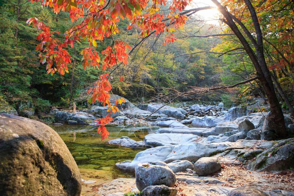 10월 가을 여행지 추천, 오대산 단풍 / 사진=한국관광공사 포토코리아@마이픽쳐스