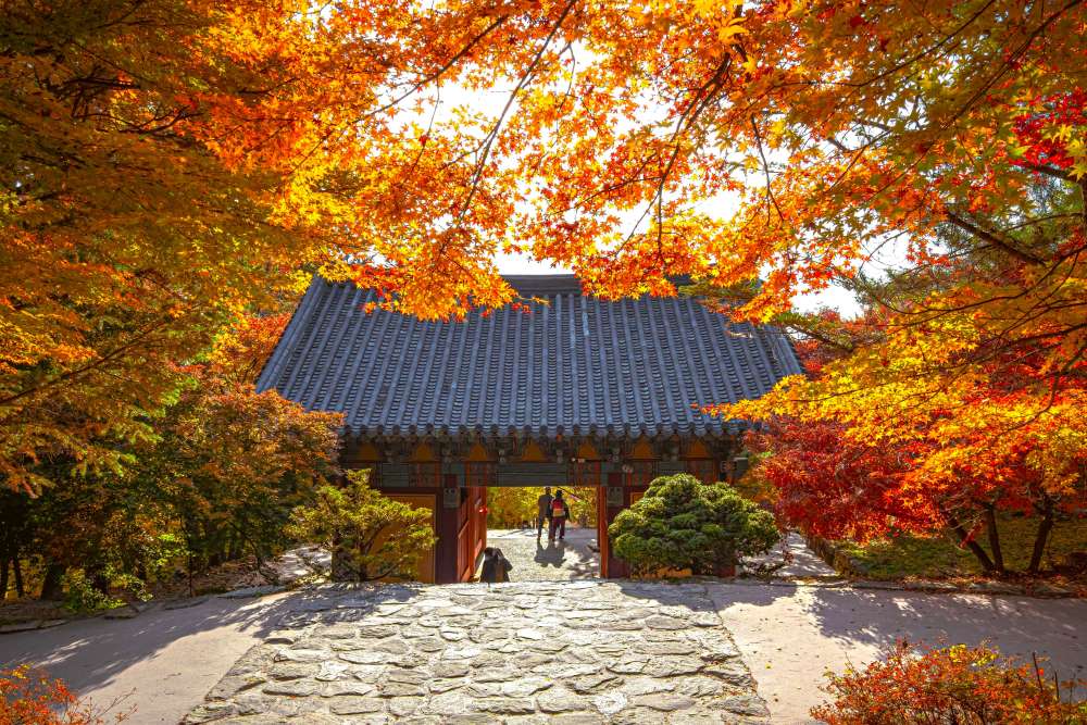 부석사 단풍 / 사진=한국관광공사 포토코리아@양지뉴 필름