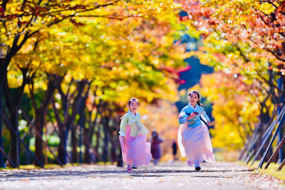 걷기에도 좋고 사진 찍기도 좋다 / 사진=한국관광공사 포토코리아@조동현