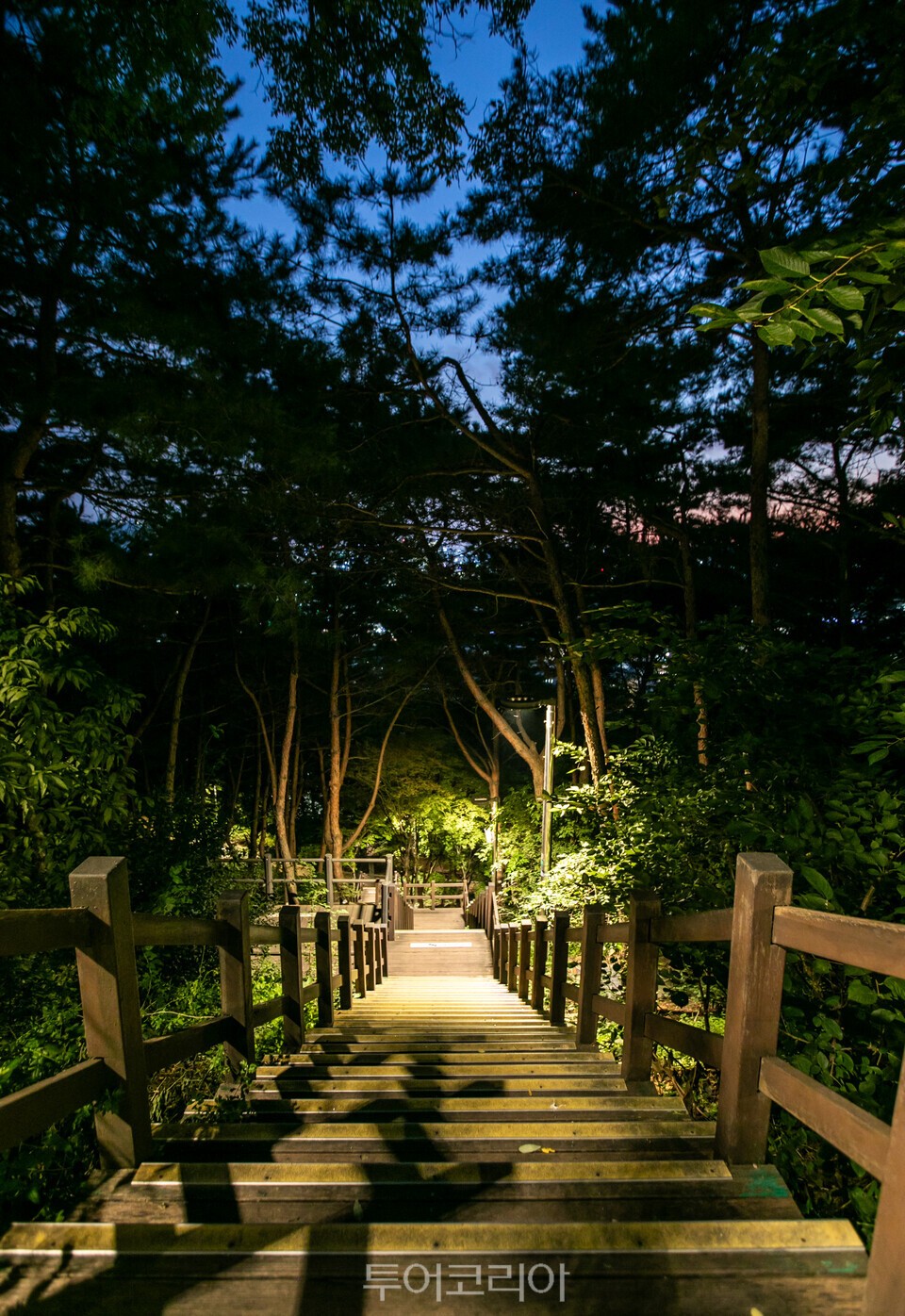 낙산공원 산책로 카페 재즈스토리 /사진-서울관광재단