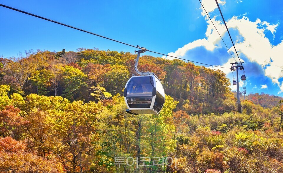 가리왕산 케이블카/사진-정선군