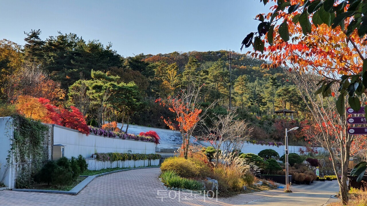 바다향기수목원 단풍 바다너울원+수크령+결초보은 벽천의+가을 벽천의+가을+댑싸리 바다향기수목원+가을+호박+전시 /사진-경기도