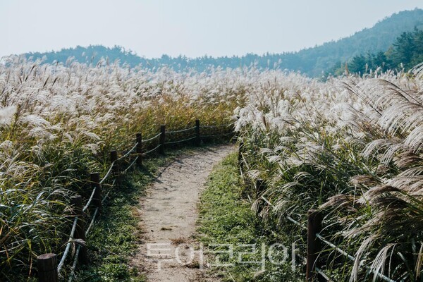 청암산. /사진-군산시