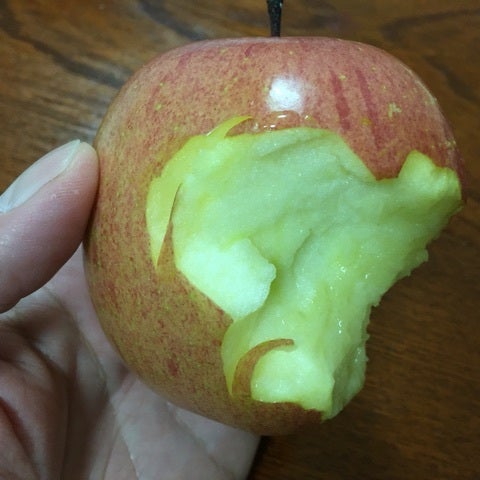 ameblo