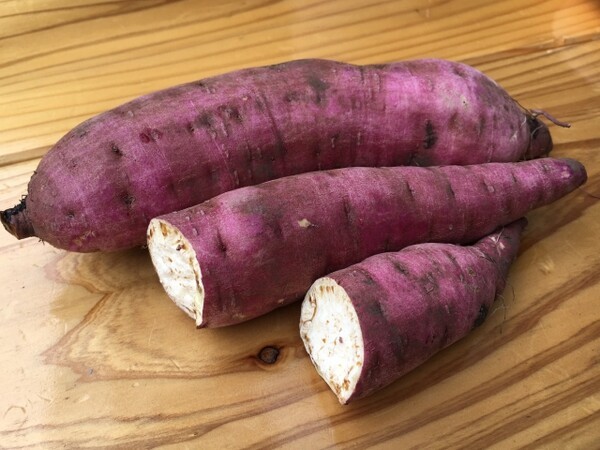 kisetsumimiyori