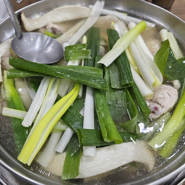 건강의 모든 것