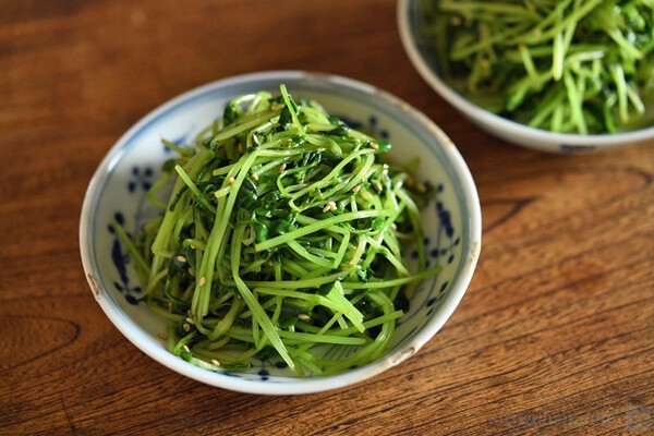 sirogohan