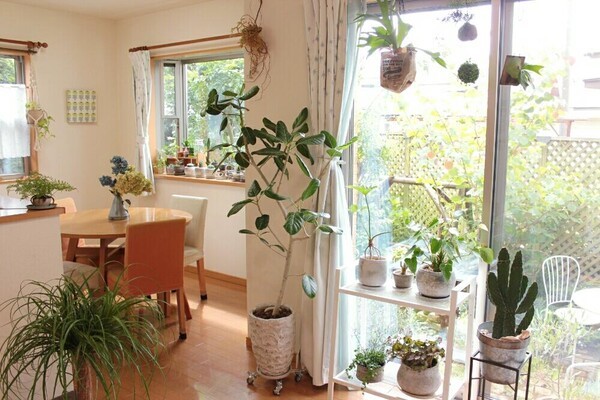 horti
