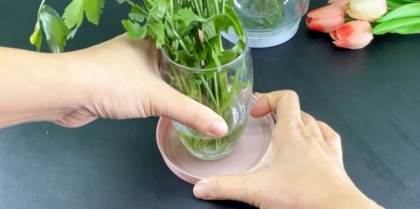 SmartKitchen86