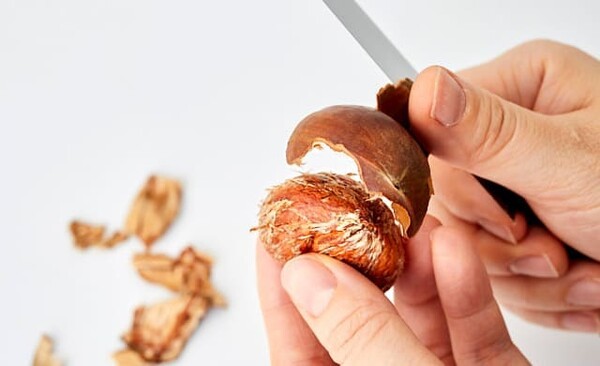 nichireifoods
