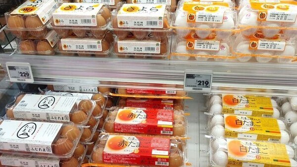 kurashinista
