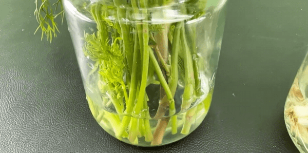 SmartKitchen86