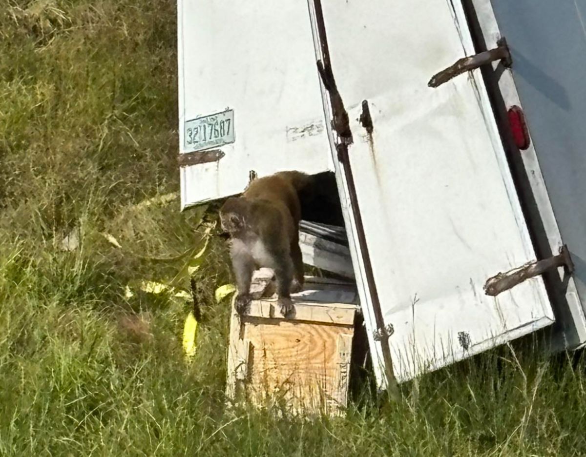  引用： Jasper County Sheriff\'s Department, MississippiのFacebookアカウント