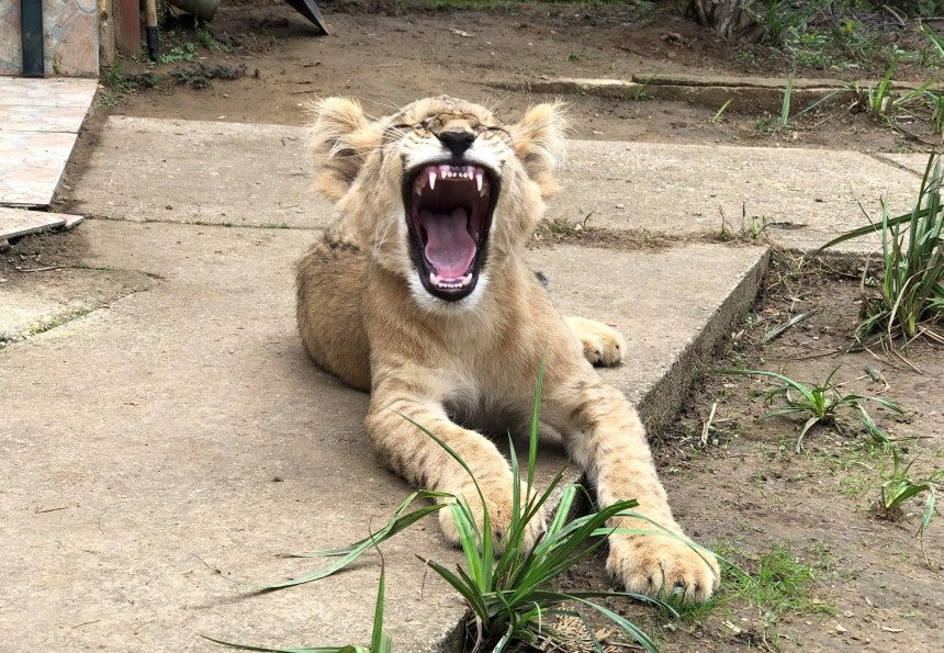  引用：depositphotos