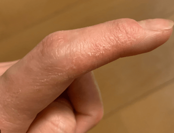 온라인 커뮤니티