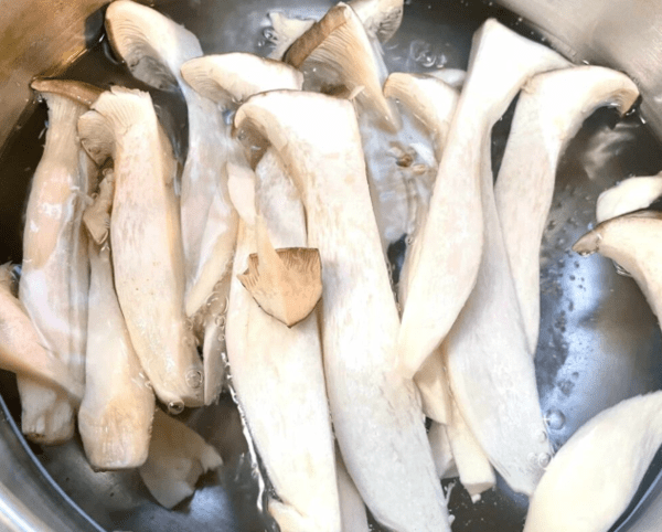 온라인 커뮤니티