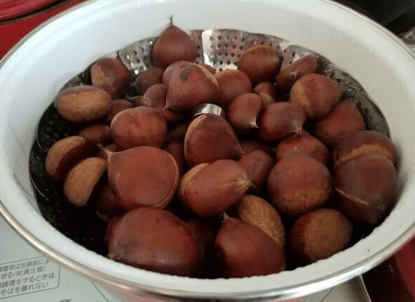 온라인 커뮤니티