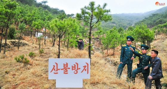 Courtesy of Rodong Sinmun