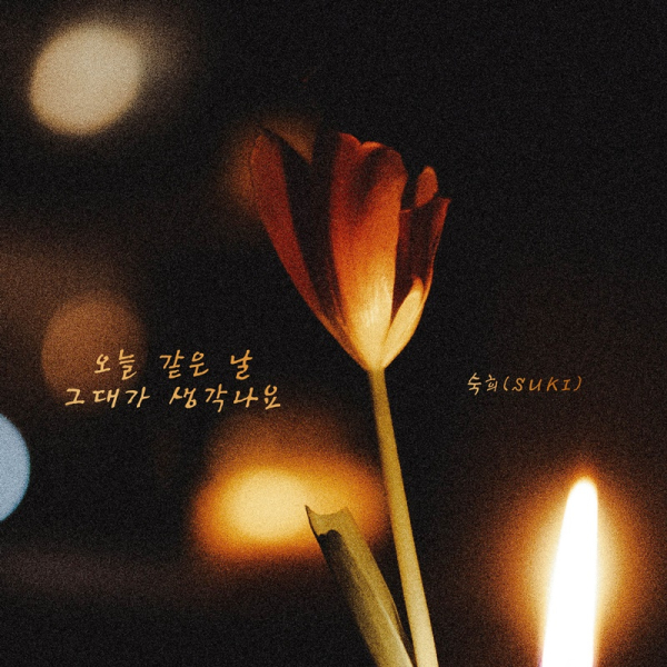 이미지 =