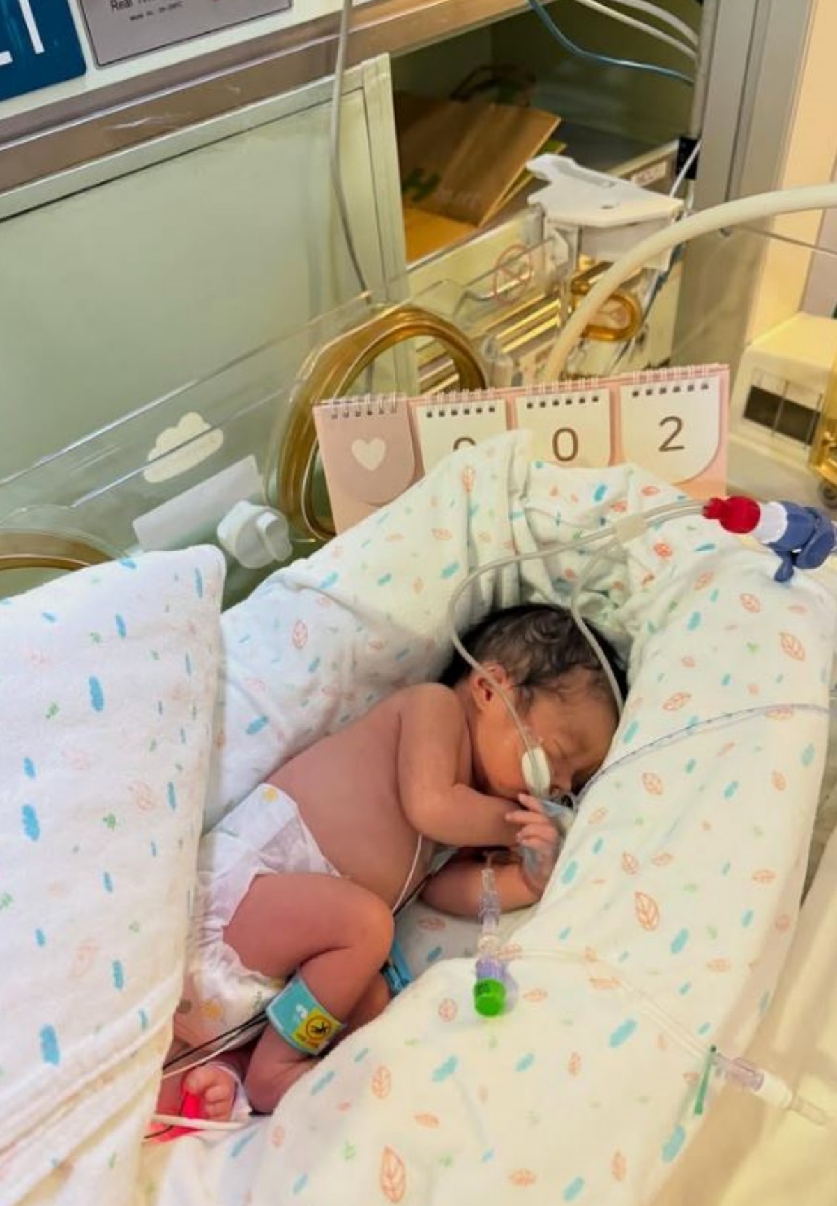 引用: 俳優 イ・シヨンが投稿した第二娘の様子。 / イ・シヨン Instagram