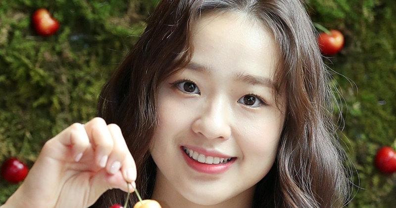 引用:ニュース1