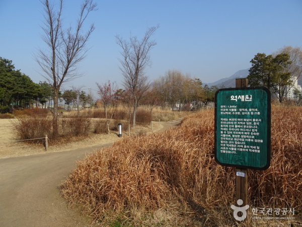 서울창포원 이미지출처 = 한국관광공사