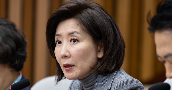 국회 법제사법위원회 나경원 국민의힘 의원이 2025년 11월24일 서울 여의도 국회에서 열린 정책위원회·법사위원회 주최 대장동 범죄수익 환수 특별법 제정을 위한 긴급 토론회에서 개회사를 하고 있다. 