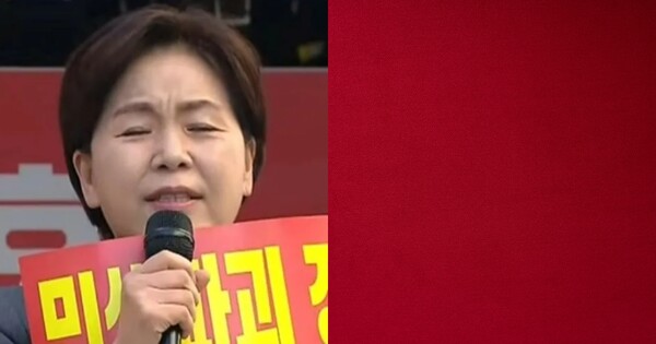 양향자 국민의힘 최고위원(좌), 사진 자료(우). ⓒ뉴스1, 어도비스톡
