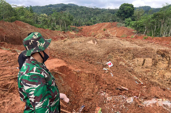 引用:ニューシス