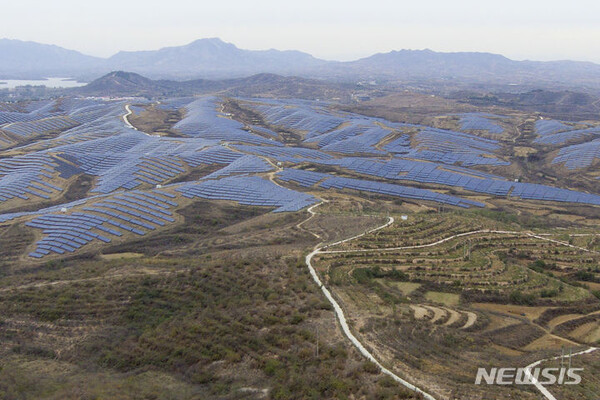 引用:ニューシス