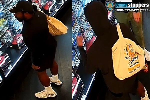 引用：ニューシス