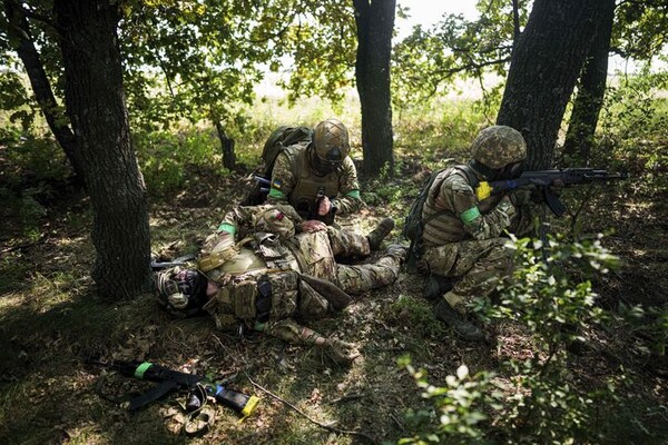 引用:ニューシス