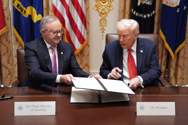 引用:ニューシス