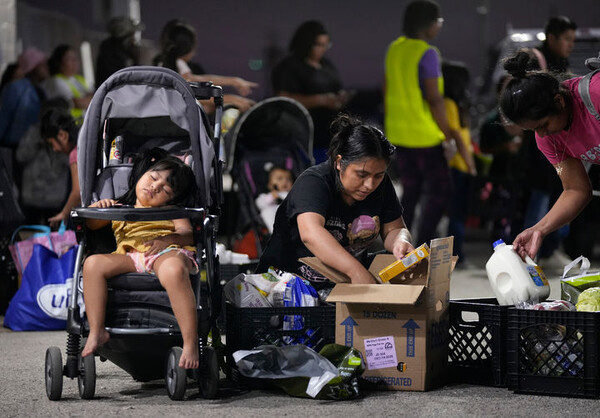 引用:ニューシス