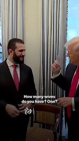 引用:ニューシス