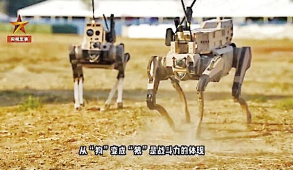 引用:ニューシス