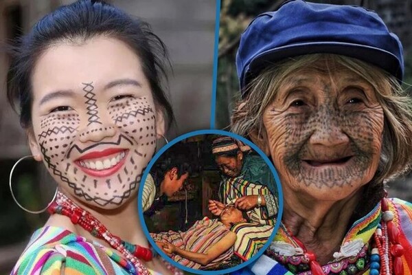 引用:ニューシス