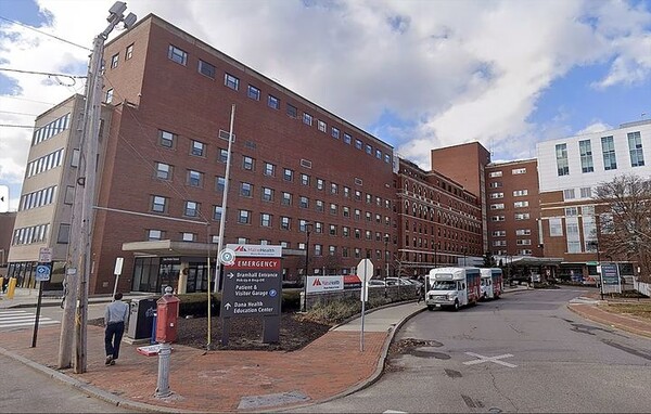 引用:ニューシス