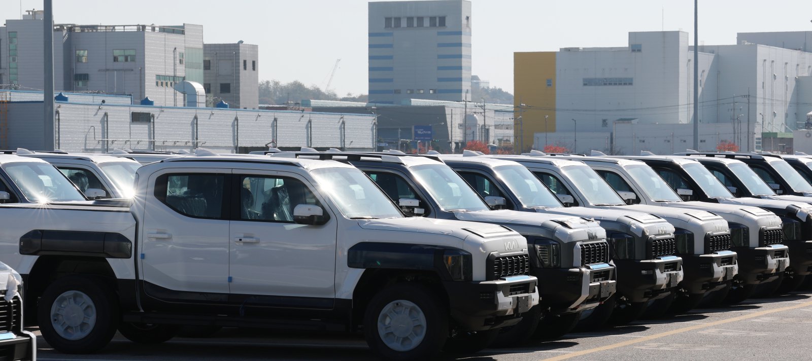 경기 평택시 포승읍 평택항에 수출용 차량이 세워져 있는 모습. 2025.11.14/뉴스1