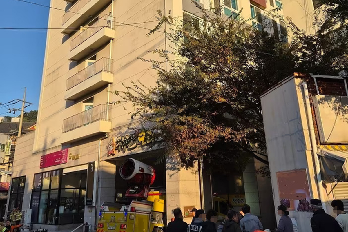 사진 출처 = 뉴스1