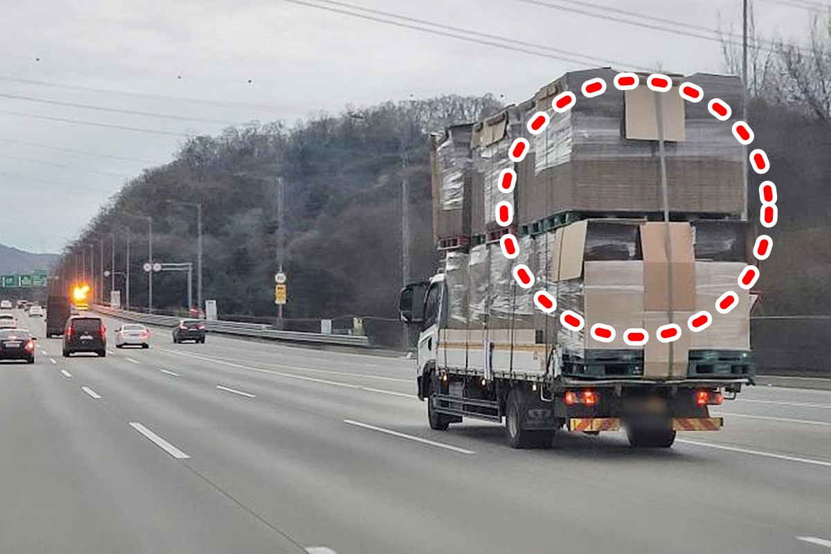사진 출처 = 보배드림