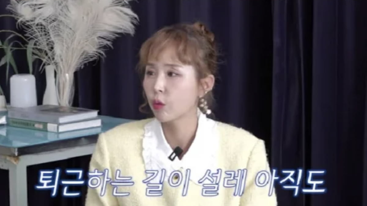  引用：YouTubeチャンネル『A級チャン・ヨンラン』