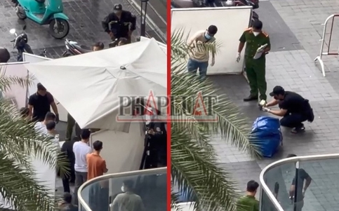 引用:Viet Baoのホームページ