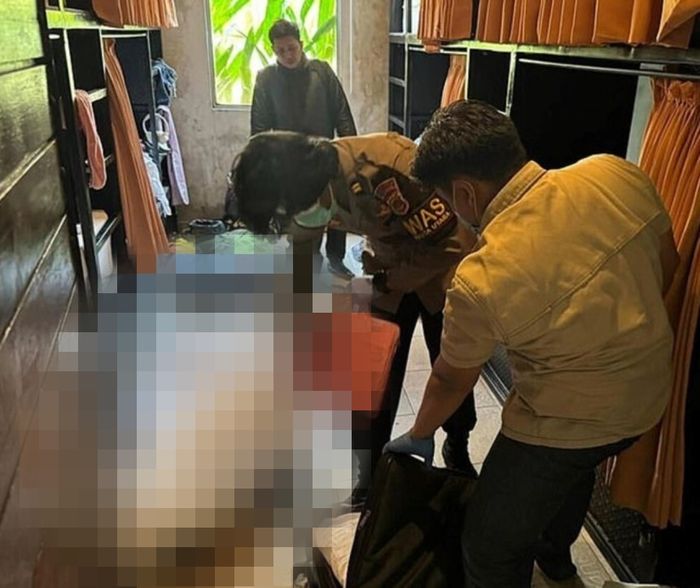 引用:デイリーメール