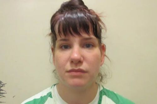  引用：プラスキー郡保安官事務所