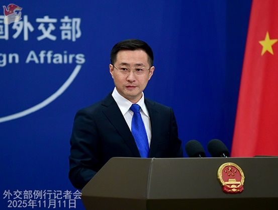 引用：中国外交部