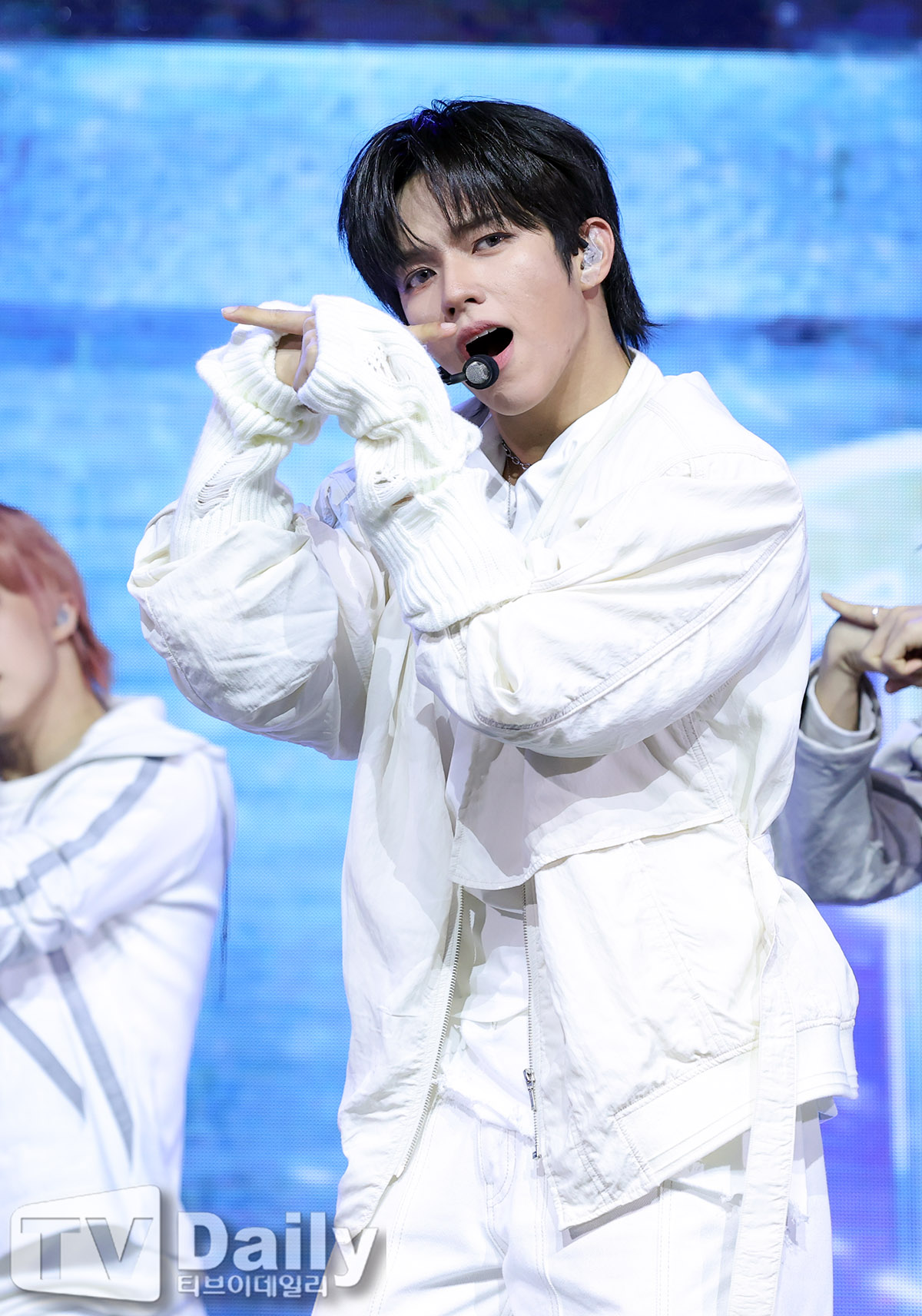 티브이데일리 포토