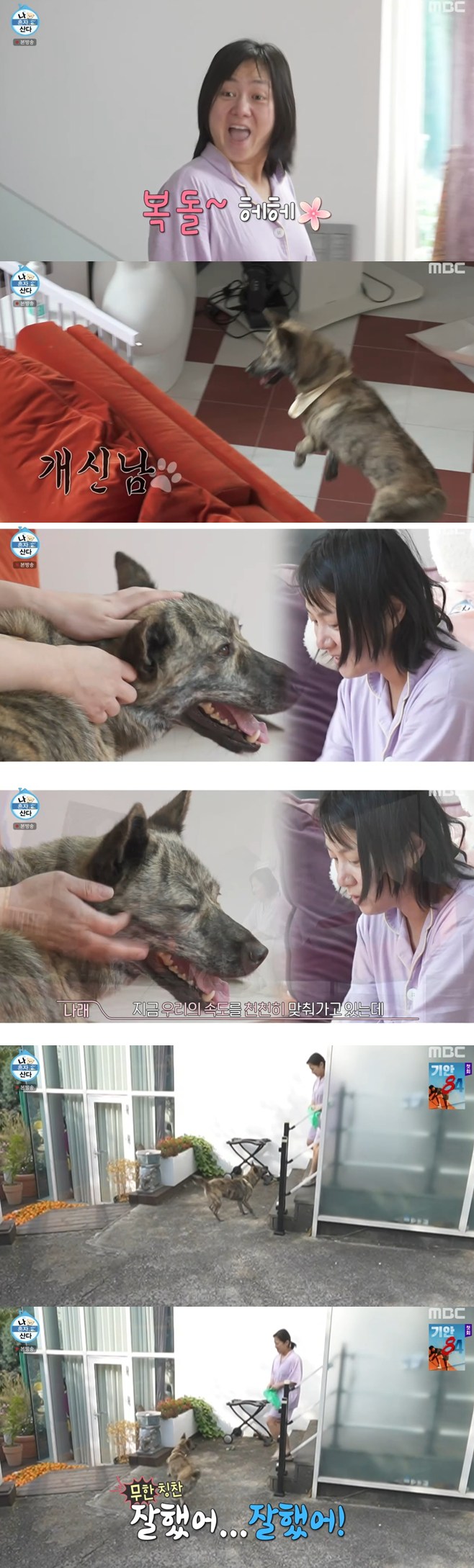 티브이데일리 포토