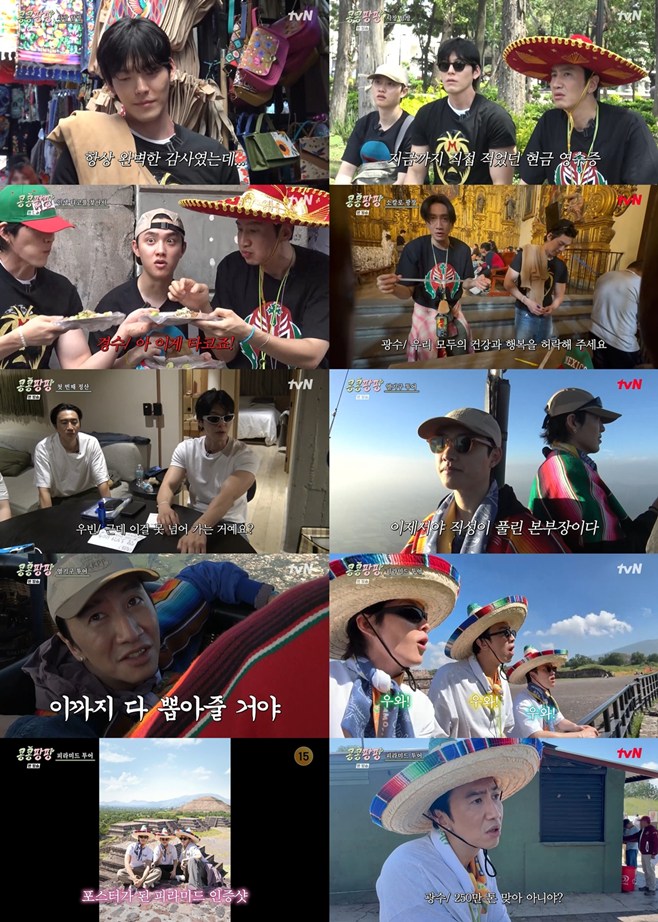 티브이데일리 포토